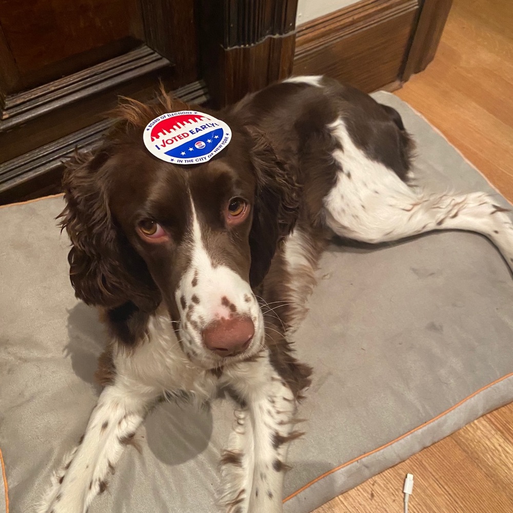 Meet your Posher, Jack